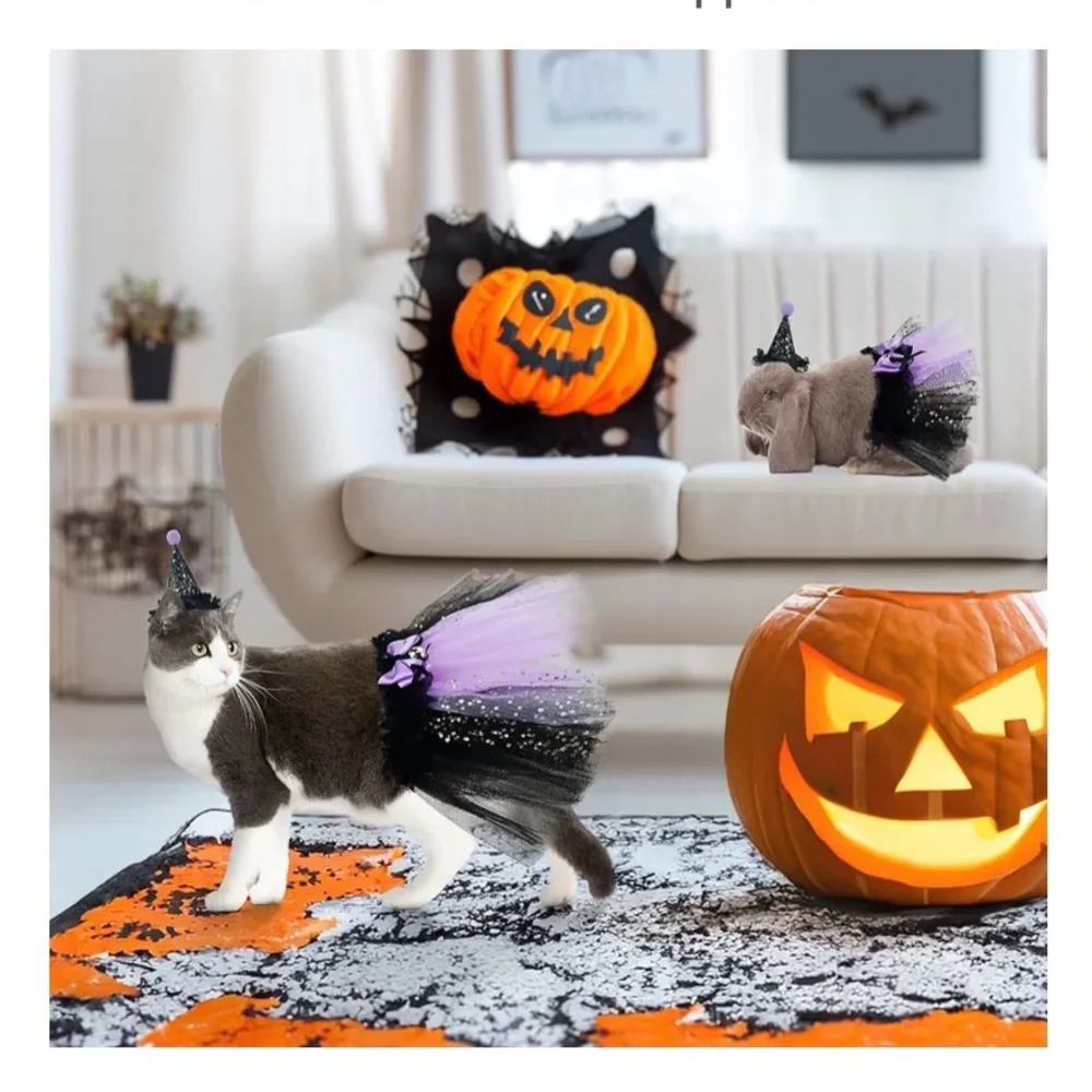 Witch Costume for Cat Kitten, size Medium ,Witch's Hat & Black Tutu Skirt